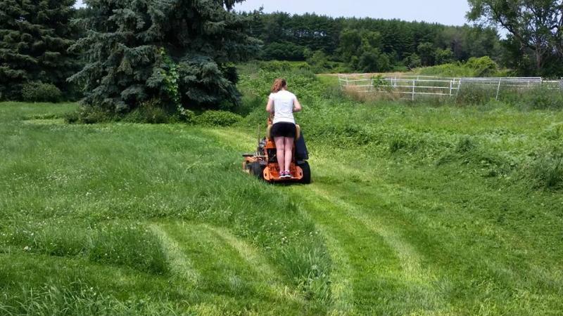 Alexis getting a little Lawn mowing training in a horse pasture.